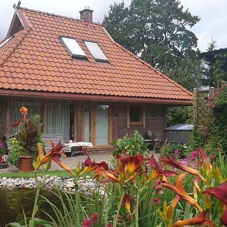 Estere Cesis Exterior photo